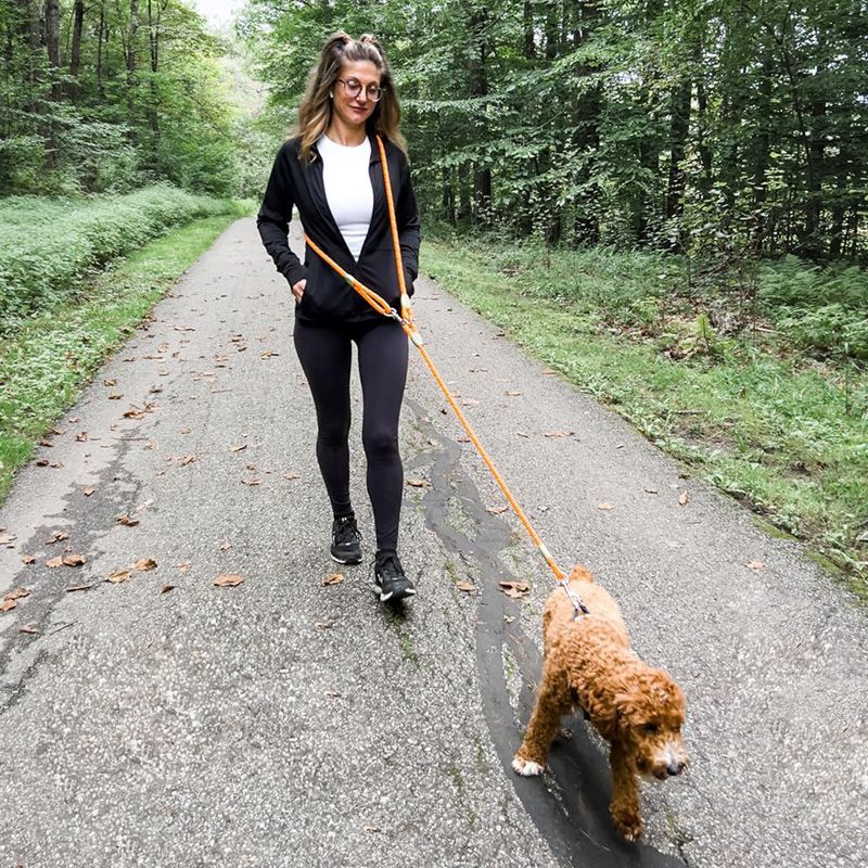 Running Gear Dog - Correa reflectante para perros manos libres