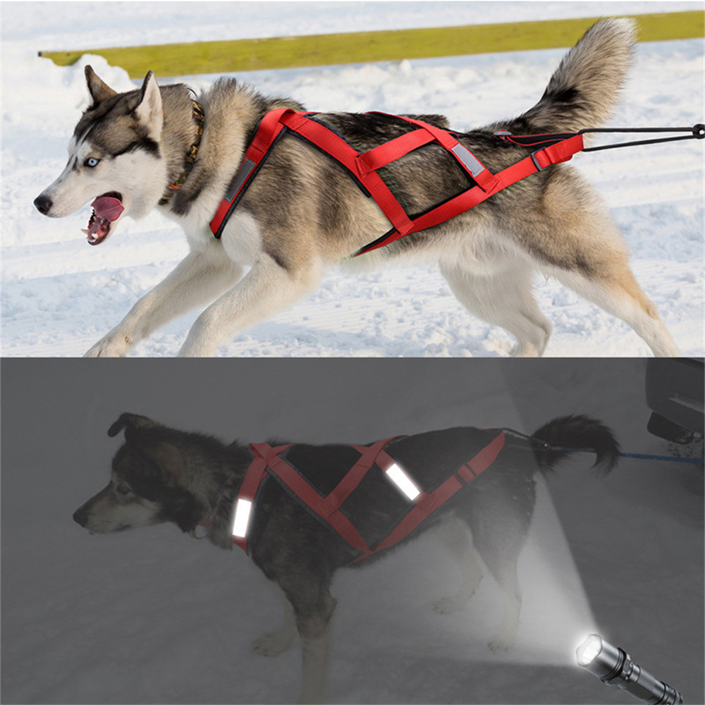 Arnés de Alta Calidad para Per - Running Gear Dog reseña y precio